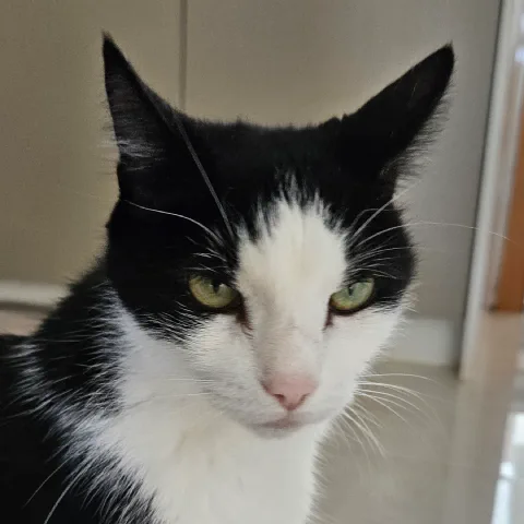 Photo of Yubi
